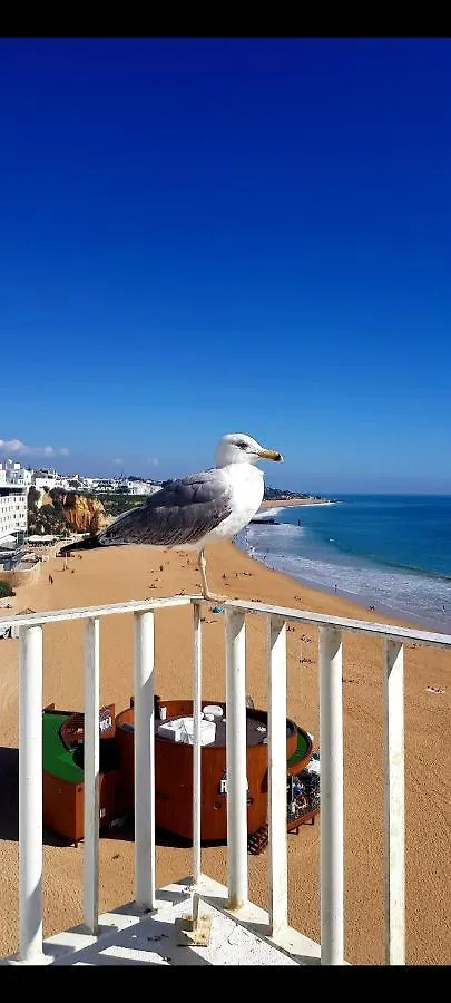 Apartment Ferienwohnung Albufeirasun, Arrive As A Guest Leave As A Friend. Portugal